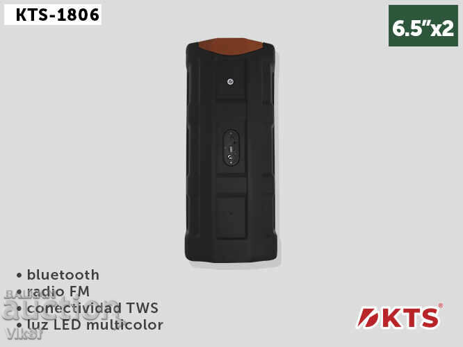 Auction  Double Karaoke speaker 2x6.5" KTS-1806, Bt, FM, USB, Sd/TF