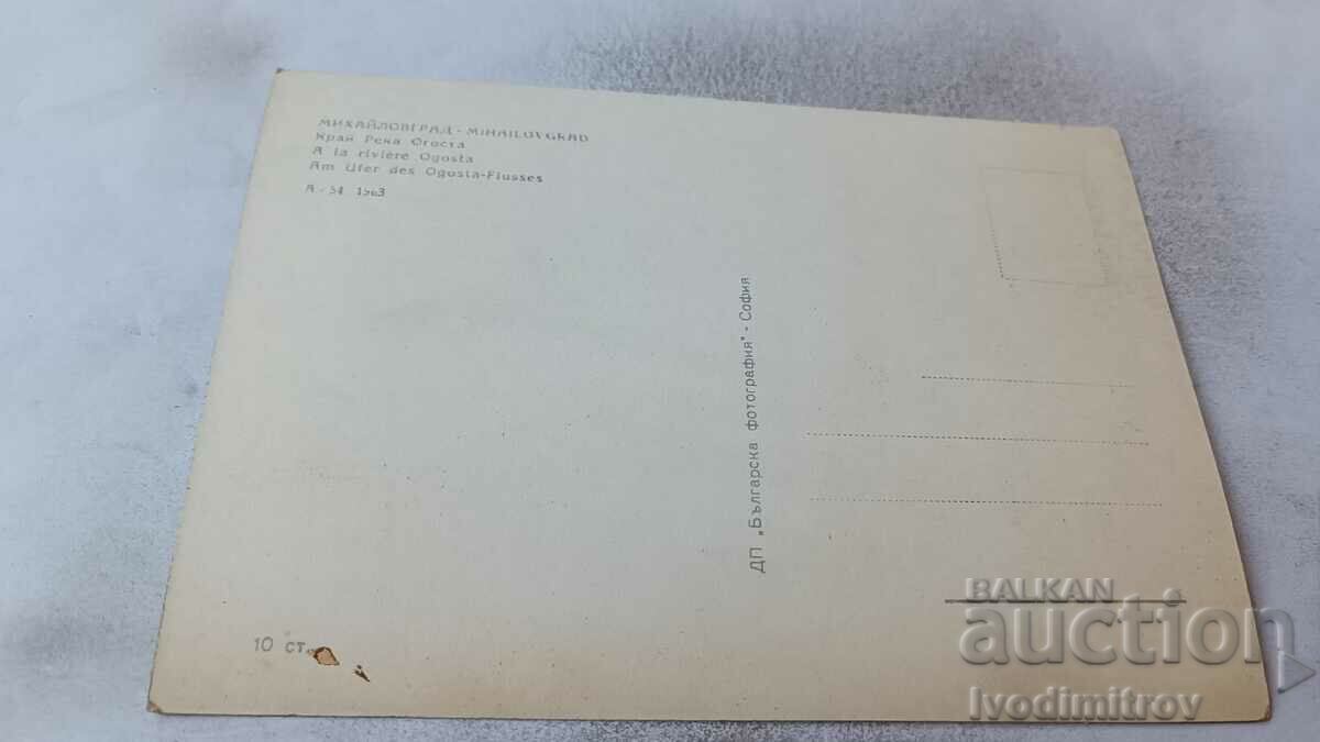 Postcard Mihailovgrad By the Augusta River 1963 with price 2.85 BGN | € 1.46 Postcard Mihailovgrad By the Augusta River 1963 with price 2.85 BGN | € 1.46