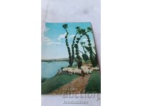Postcard Mihailovgrad By the Augusta River 1963