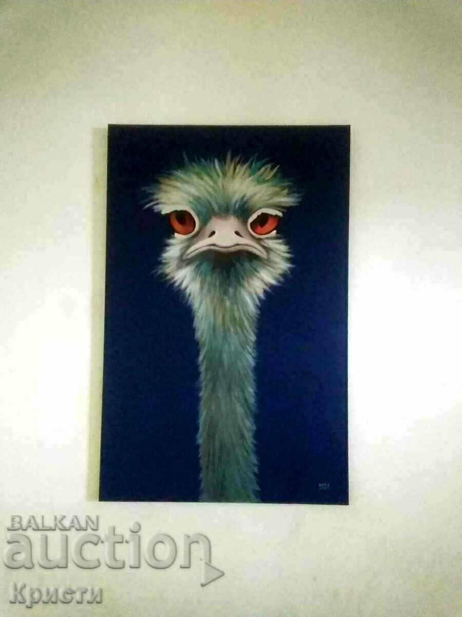 Στράους, Νόρα Άμποβα με τιμή € 320.00 | 625.87 BGN