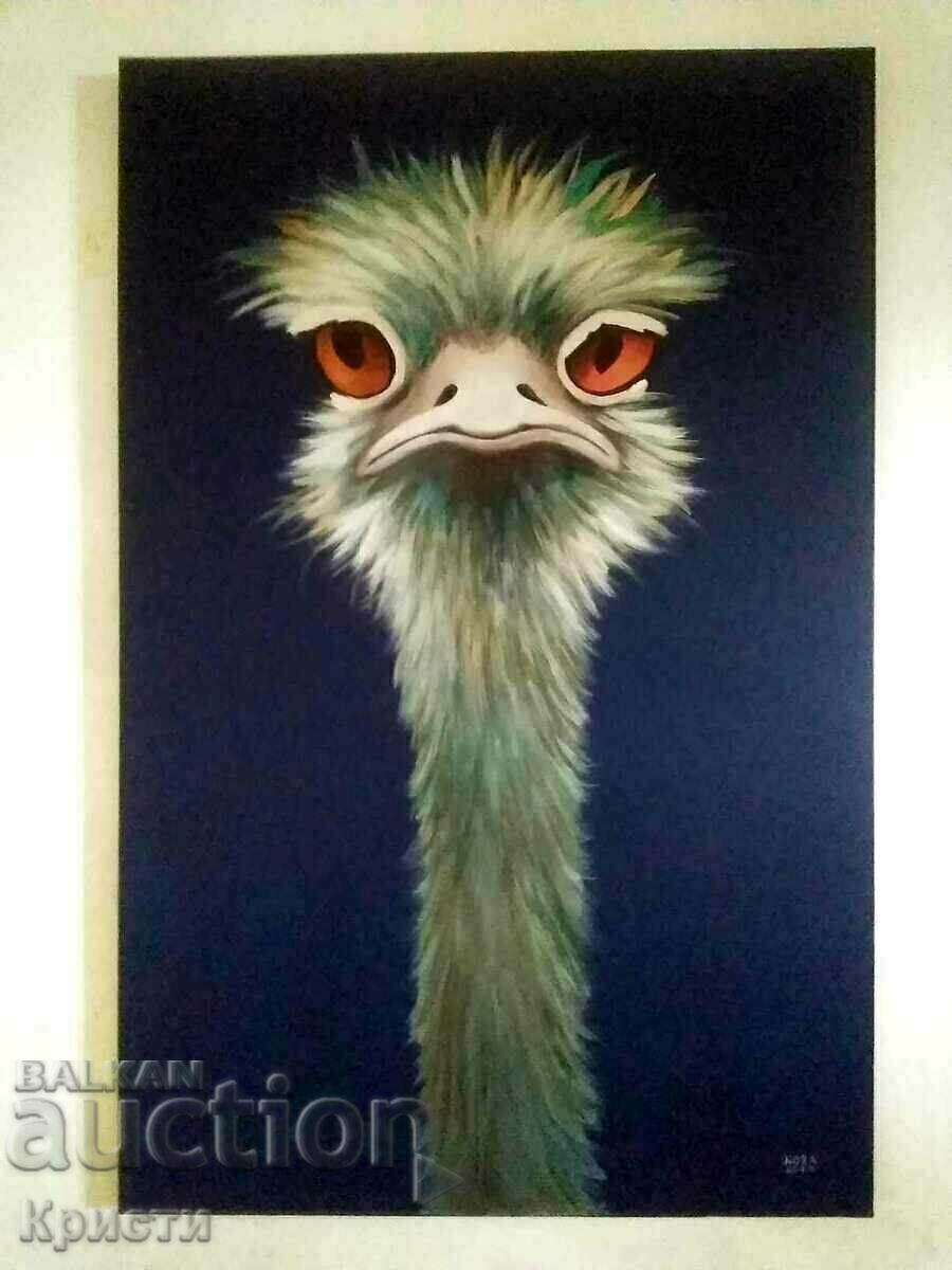 Strauss, Nora Ampova