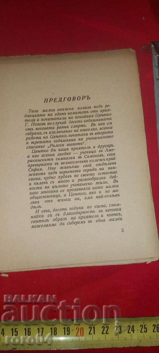 Auction SUNNY SONGS - POPOV'S FLOWER Auction SUNNY SONGS - POPOV'S FLOWER
