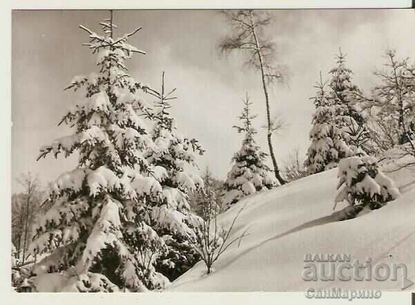 Card Bulgaria Winter landscape 27**