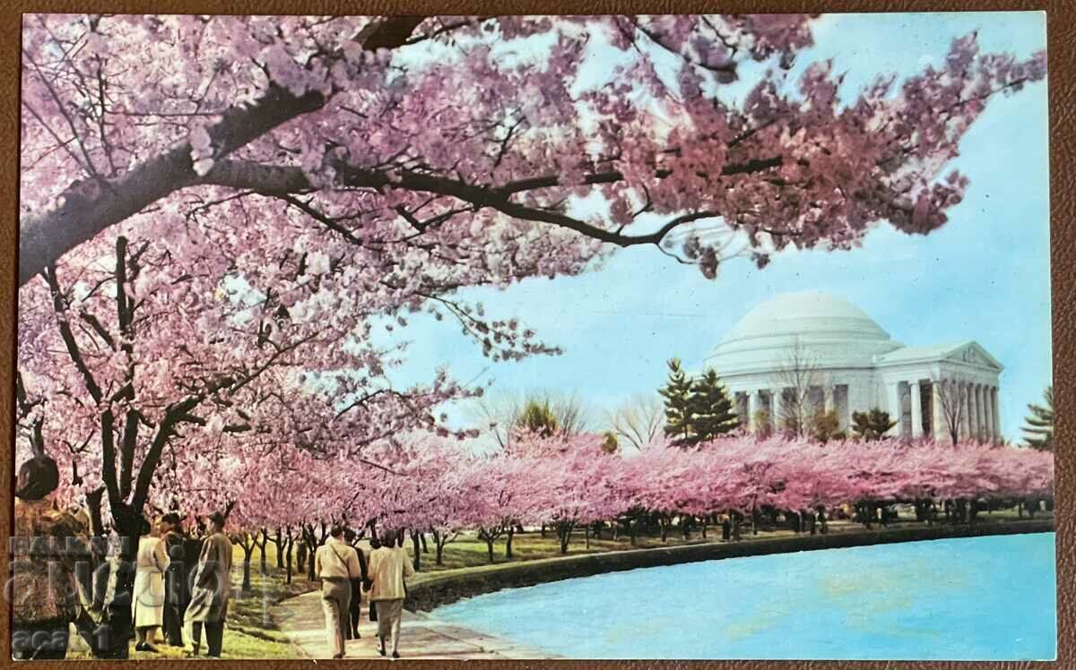 Auction Washington The capital of the United States Auction Washington The capital of the United States