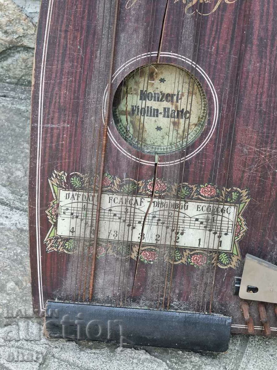 Delivery of Old big zither. Guitar,