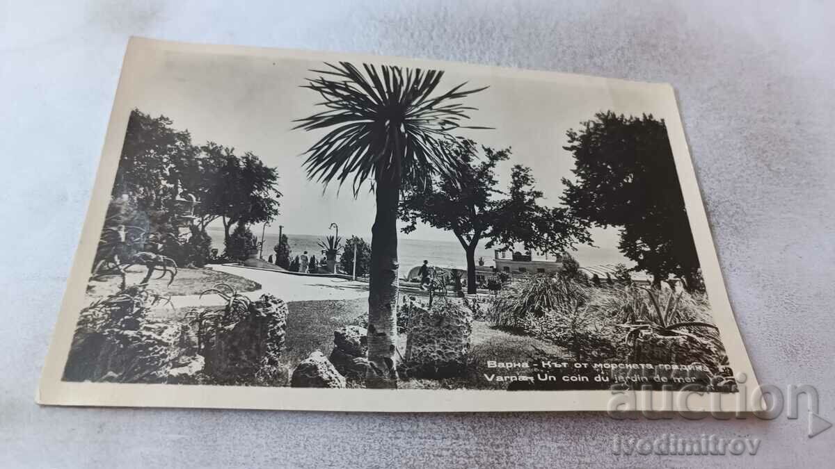 Postcard Varna Corner of the Sea Garden 1957
