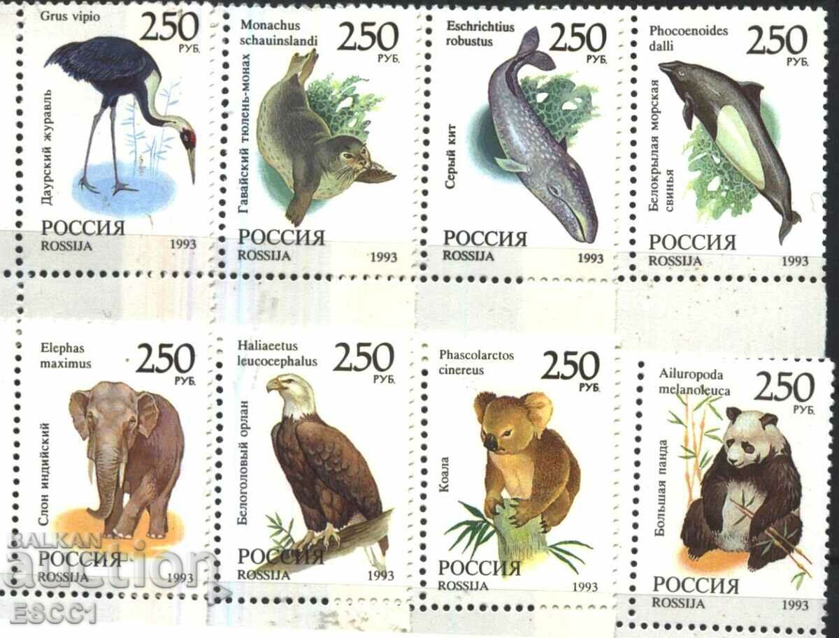 Timbre pure Fauna 1993 din Rusia