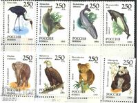 Καθαρά γραμματόσημα Πανίδα 1993 από τη Ρωσία