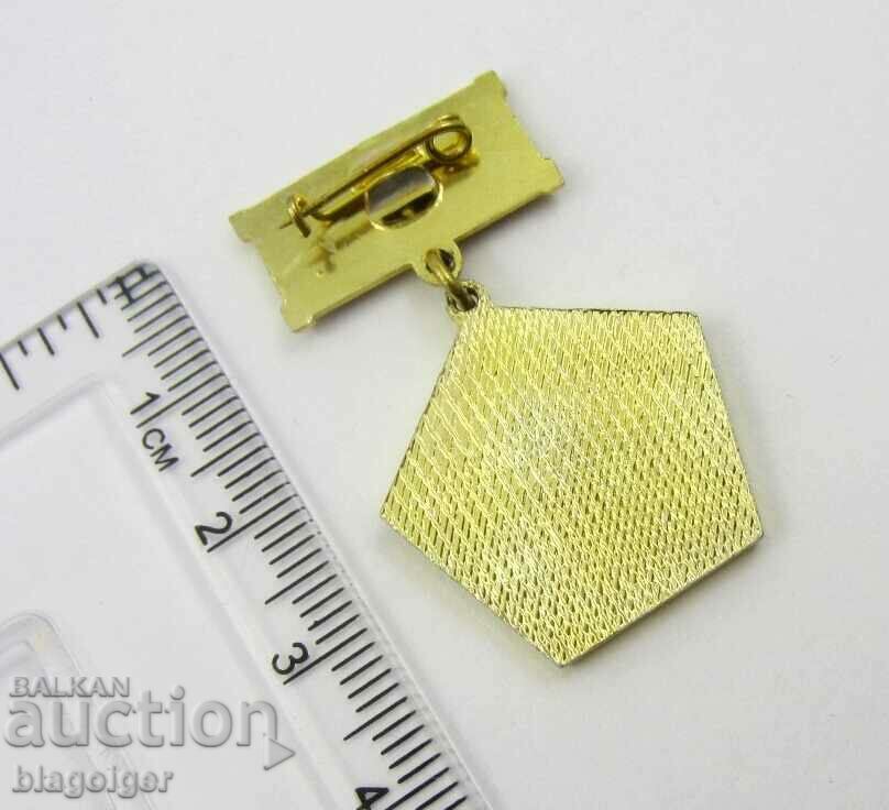 BUILDER OF MOK ELACITE-PERSONAL BADGE - 5 BUILDER OF MOK ELACITE-PERSONAL BADGE - 5