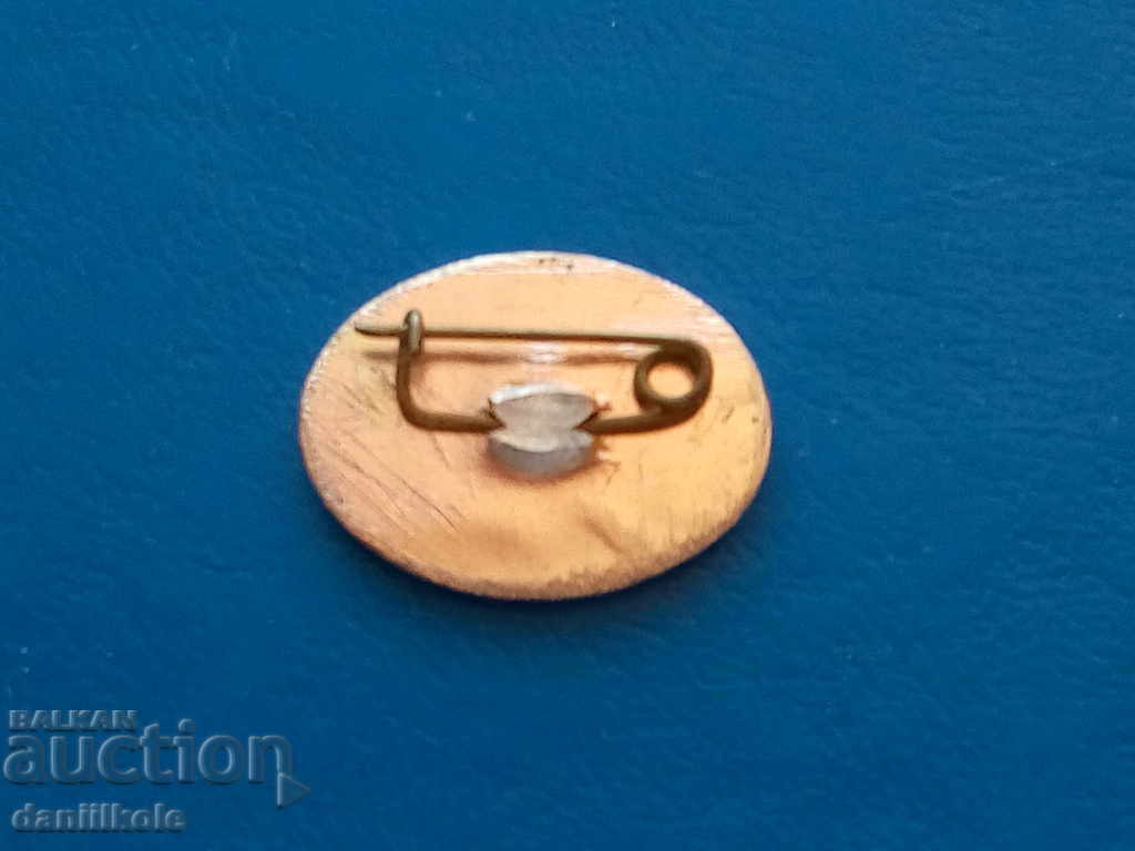 *$*Y*$* OLD BADGE COLLECTION - BURGAS TANKER FLEET *$*Y*$* - 7