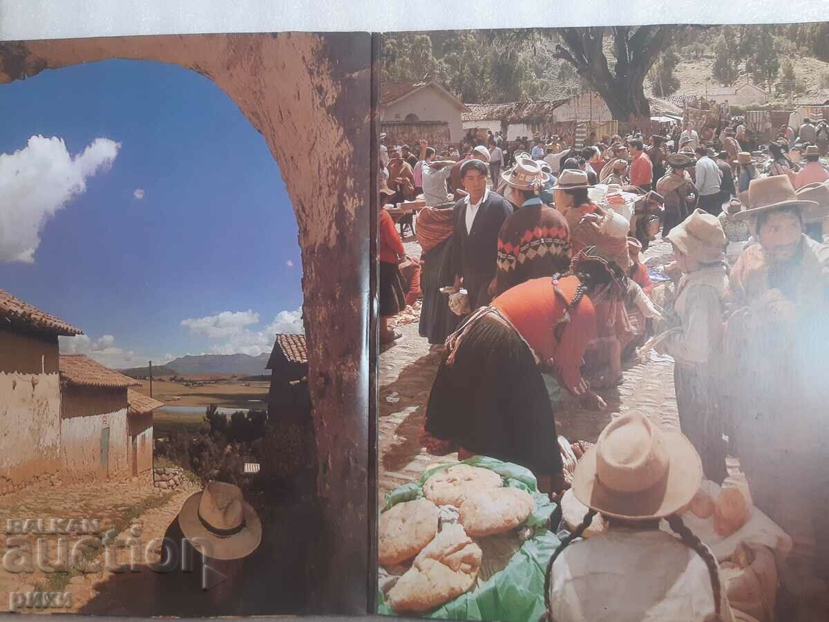 Auction Los Paraguayos – Cu-Cu-Rru-Cu-Cu Paloma Auction Los Paraguayos – Cu-Cu-Rru-Cu-Cu Paloma