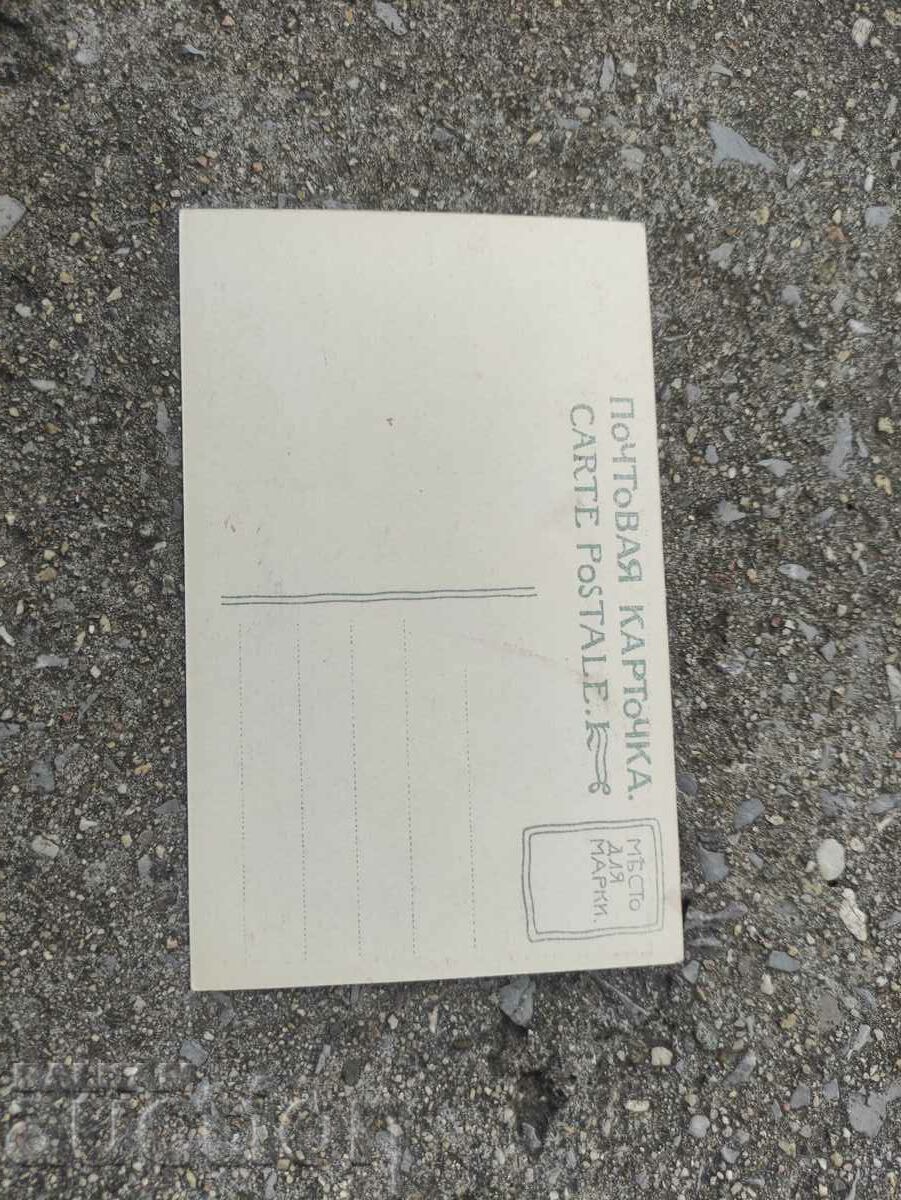 Postcard Shilkin Rubka forest with price 20.00 BGN | € 10.23 Postcard Shilkin Rubka forest with price 20.00 BGN | € 10.23