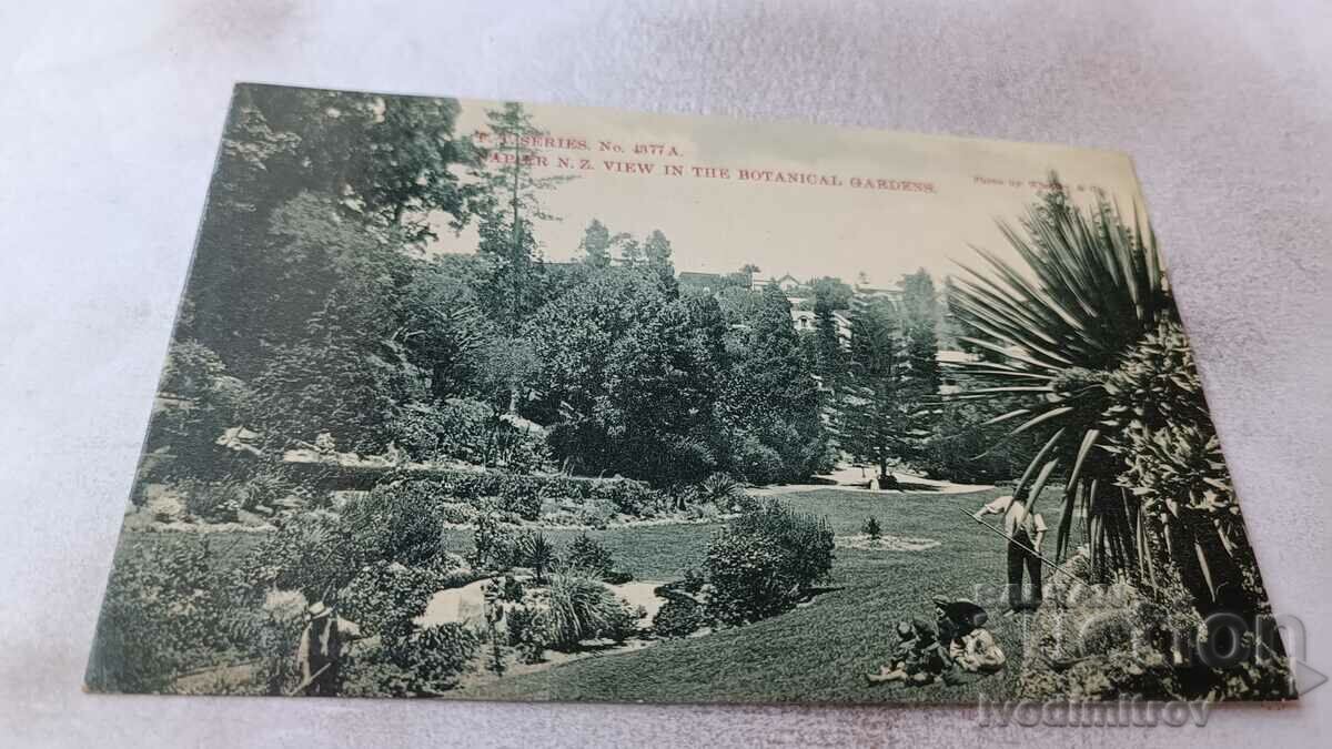 Carte poștală Napiel N. Z. Vedere în Grădina Botanică