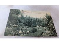 Postcard Napiel N. Z. View in the Botanical Gardens