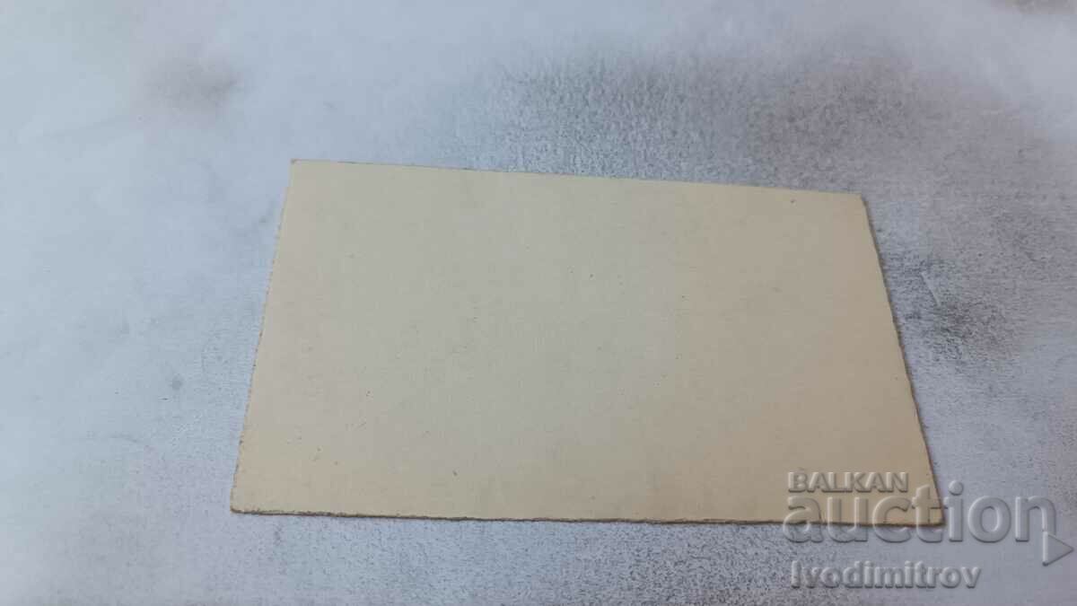 Καρτ ποστάλ Αγόρι και κορίτσι στα μανιτάρια με τιμή 1.45 BGN | € 0.74 Καρτ ποστάλ Αγόρι και κορίτσι στα μανιτάρια με τιμή 1.45 BGN | € 0.74