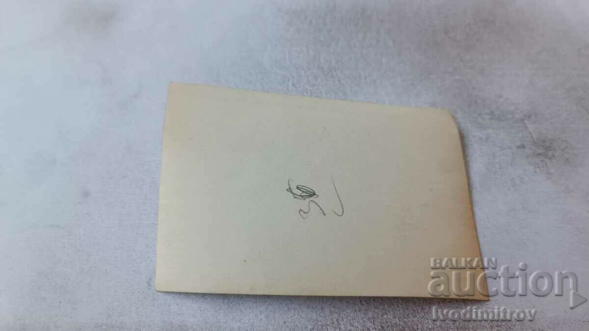 Φωτογραφία Νεαρό κορίτσι μπροστά από δύο καμήλες στην παραλία με τιμή 1.65 BGN | € 0.84 Φωτογραφία Νεαρό κορίτσι μπροστά από δύο καμήλες στην παραλία με τιμή 1.65 BGN | € 0.84