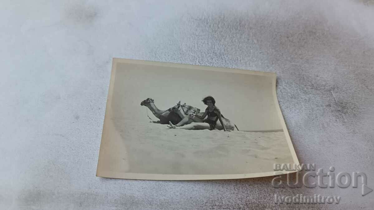 Fotografie Fată tânără în fața a două cămile pe plajă