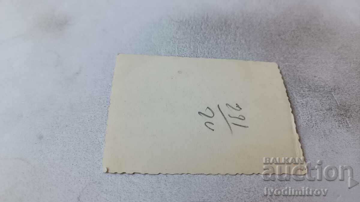 Φωτογραφία Σοφία Νεαρή γυναίκα σε έναν περίπατο με τιμή 2.45 BGN | € 1.25 Φωτογραφία Σοφία Νεαρή γυναίκα σε έναν περίπατο με τιμή 2.45 BGN | € 1.25