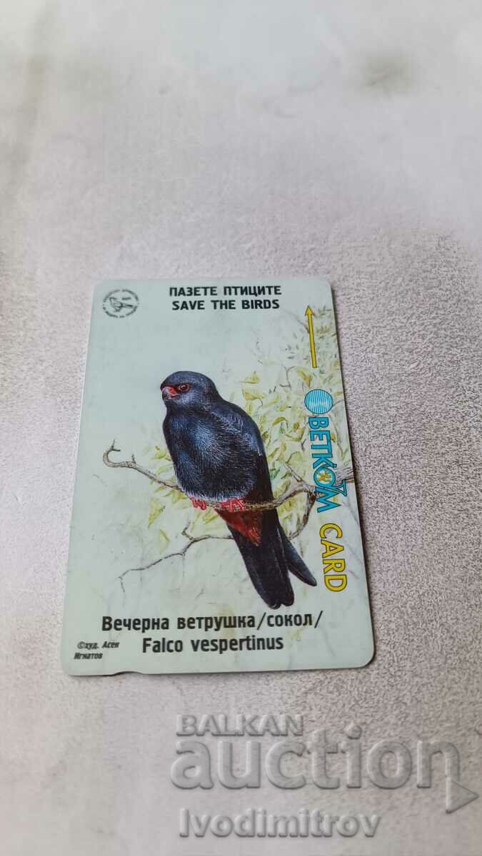 Sound card BETKOM Protect the birds Evening kestrel /falcon/