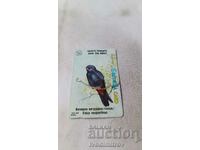 Sound card BETKOM Protect the birds Evening kestrel /falcon/