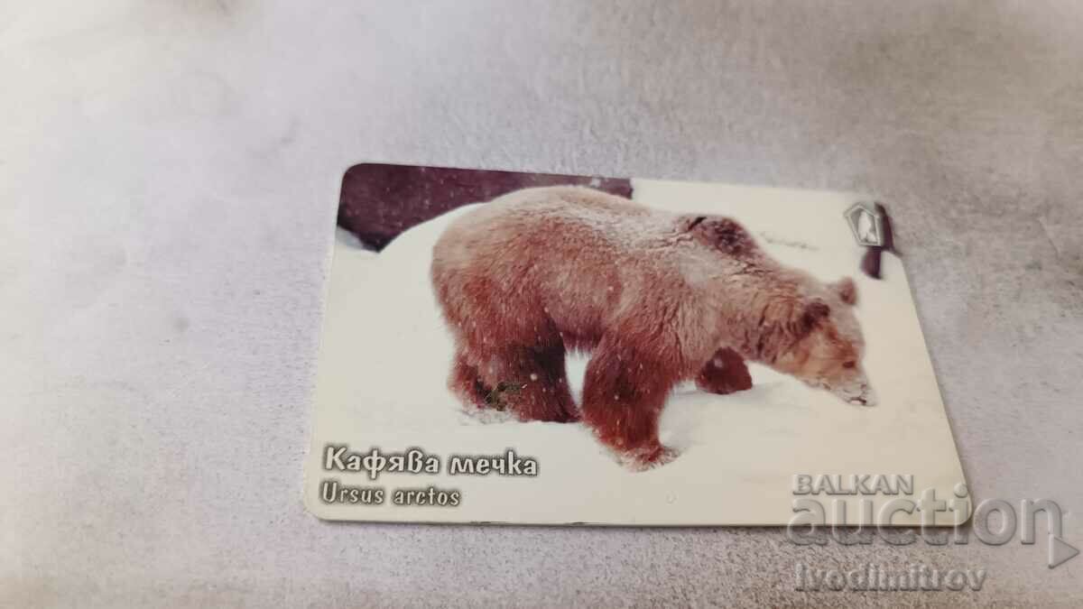 Sound card MOBIKA Brown bear
