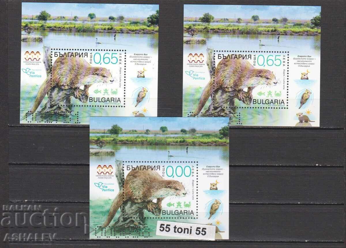 2019 Fauna Via Pontica, vidra compl. 2 blocuri - curat + uscat. bloc 2019 Fauna Via Pontica, vidra compl. 2 blocuri - curat + uscat. bloc