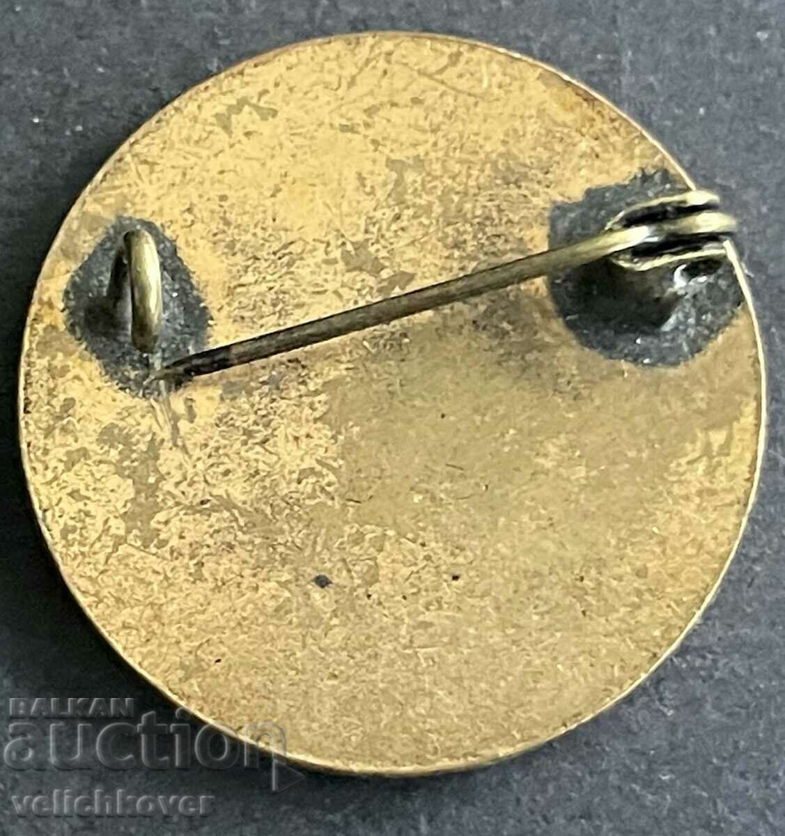 35881 Bulgaria sign OHI General Art Exhibition SBH with price 4.00 BGN | € 2.05 35881 Bulgaria sign OHI General Art Exhibition SBH with price 4.00 BGN | € 2.05