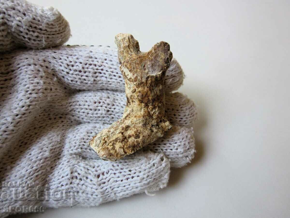 A very beautiful fossil coral. with price 15.00 BGN | € 7.67
