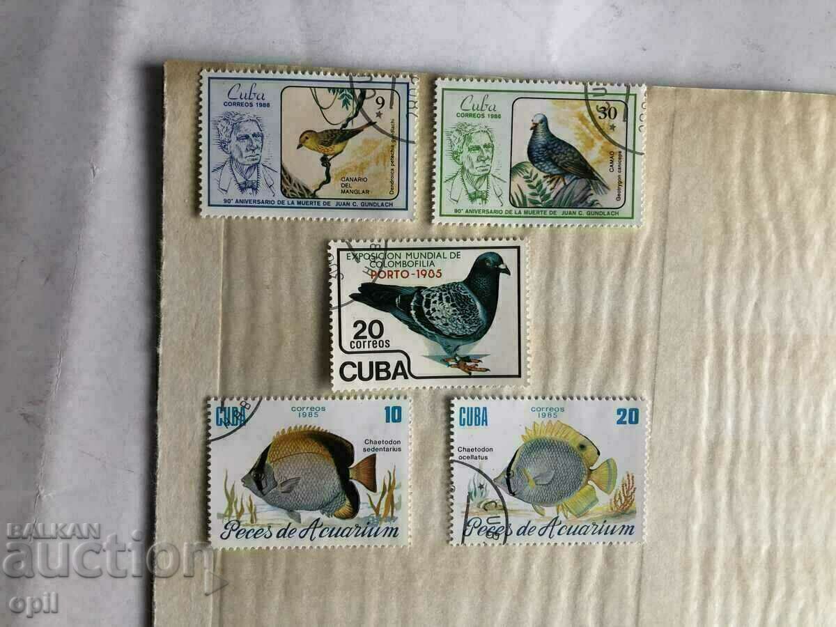 Delivery of Postage stamps Cuba Fauna 25 pieces Delivery of Postage stamps Cuba Fauna 25 pieces