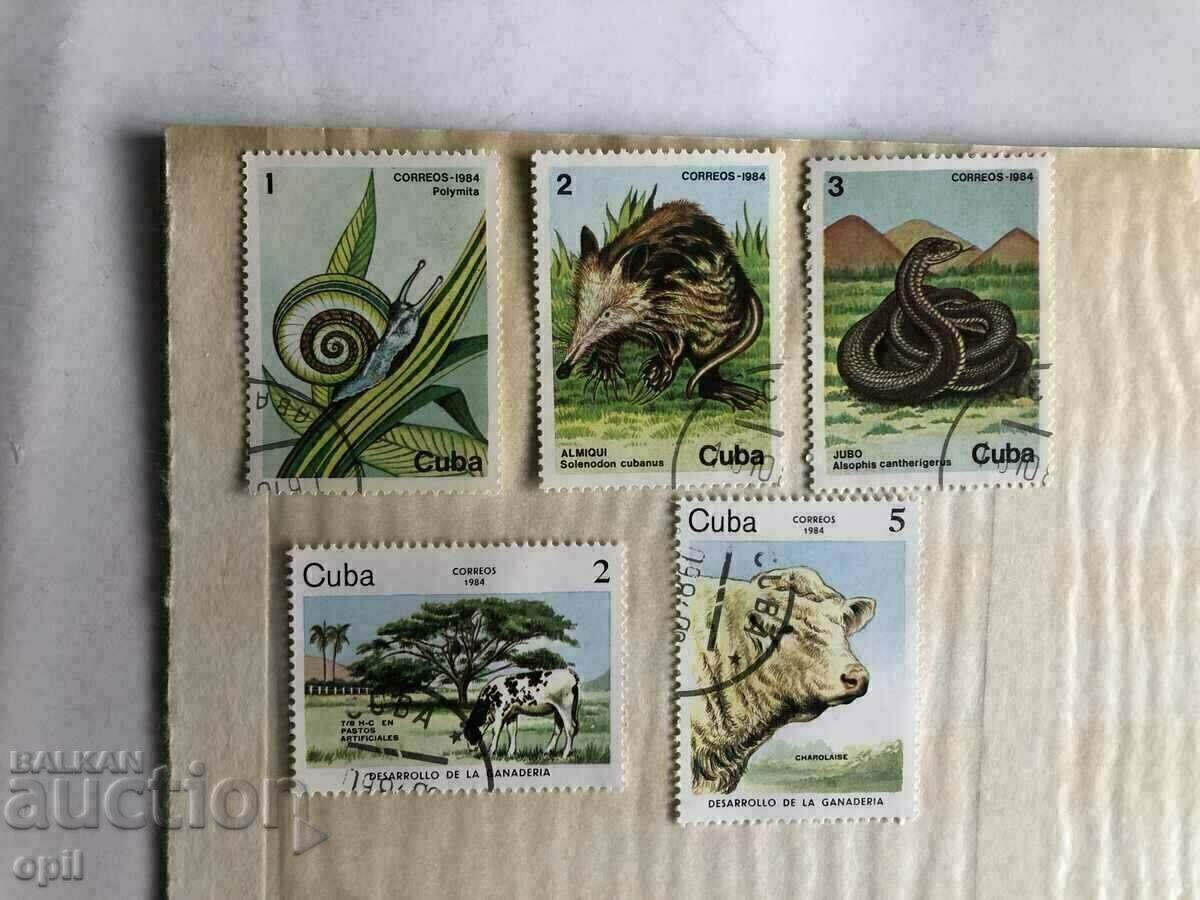 Postage stamps Cuba Fauna 25 pieces - 5 Postage stamps Cuba Fauna 25 pieces - 5