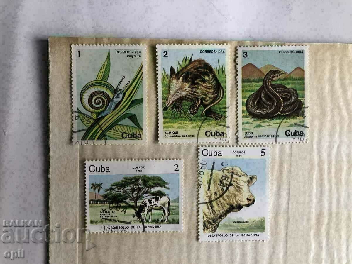 Postage stamps Cuba Fauna 25 pieces - 5 Postage stamps Cuba Fauna 25 pieces - 5