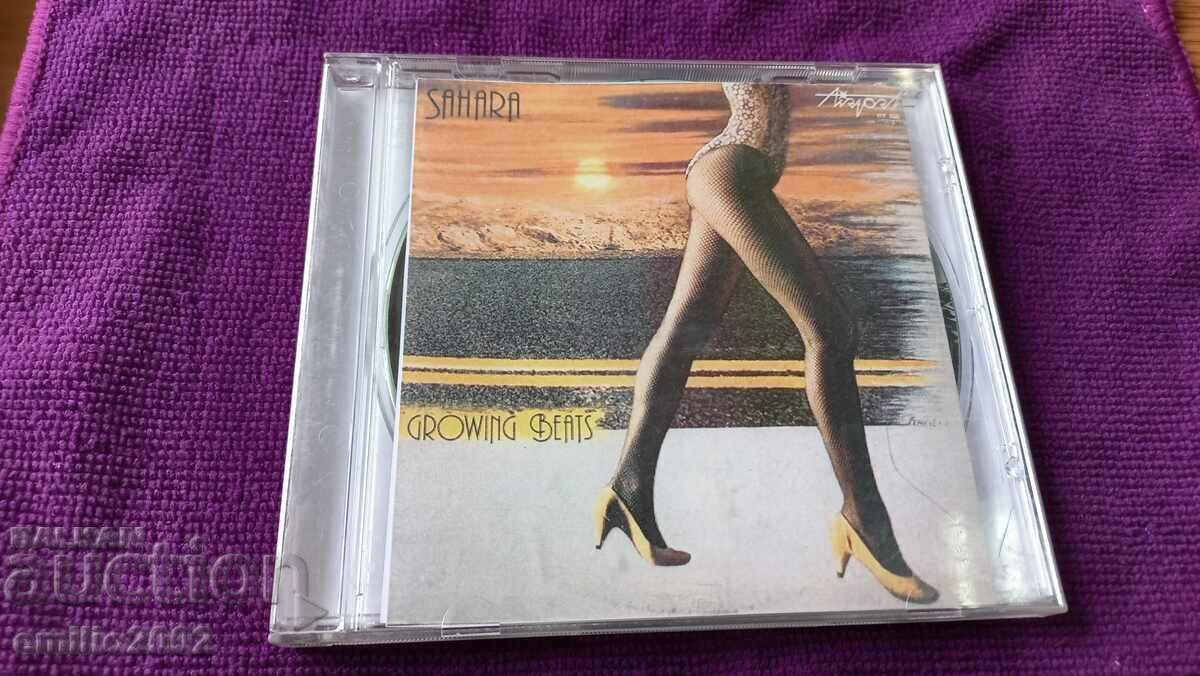 Audio CD Sahara park