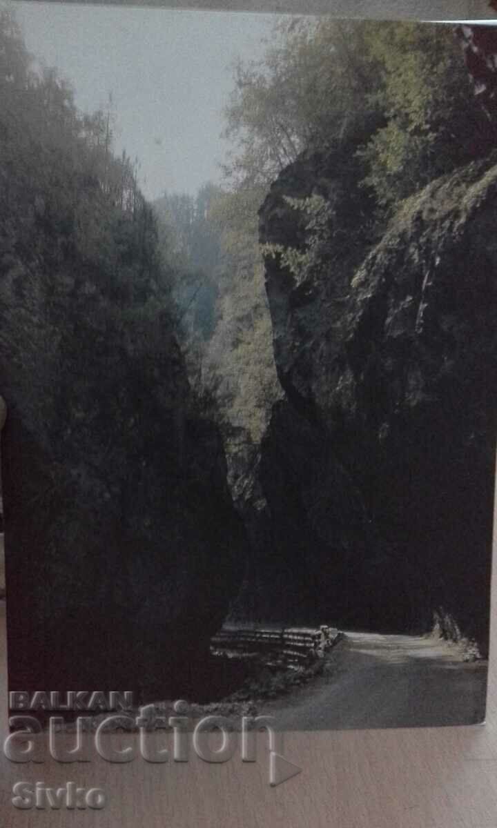 Card The Gorge of the Yagodinska River
