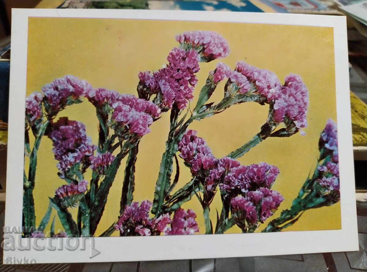 Flowers card 4