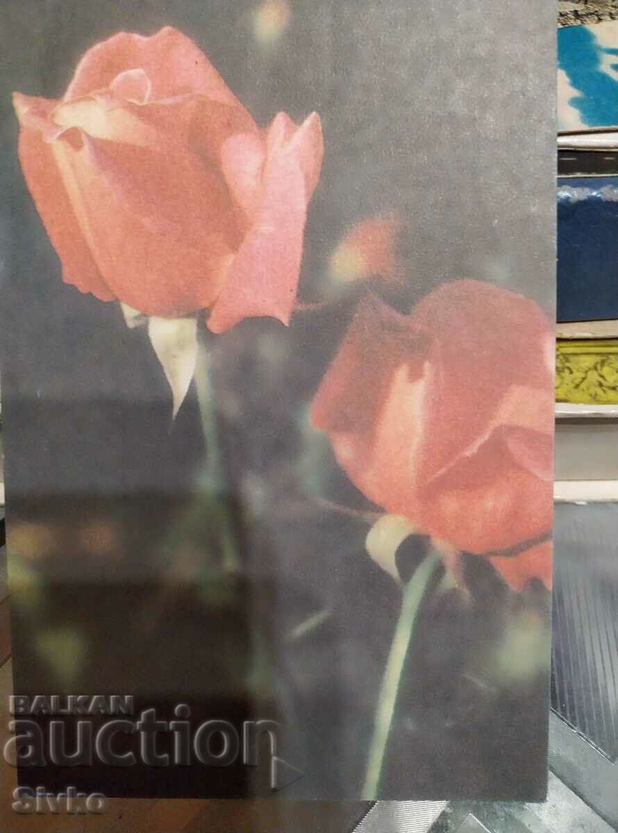 Flower card 7