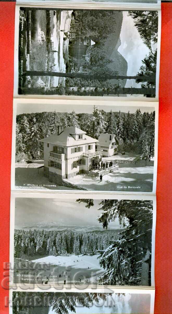 Δημοπρασία ΚΑΡΤΑ ΟΛΟΚΛΗΡΗ ΑΔΙΑΓΙΩΤΗ 8 τμχ ΚΑΡΤΑ ΠΕΥΚΟΥ Δημοπρασία ΚΑΡΤΑ ΟΛΟΚΛΗΡΗ ΑΔΙΑΓΙΩΤΗ 8 τμχ ΚΑΡΤΑ ΠΕΥΚΟΥ