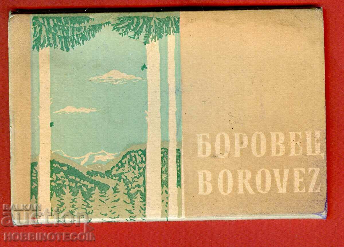 ΚΑΡΤΑ ΟΛΟΚΛΗΡΗ ΑΔΙΑΓΙΩΤΗ 8 τμχ ΚΑΡΤΑ ΠΕΥΚΟΥ ΚΑΡΤΑ ΟΛΟΚΛΗΡΗ ΑΔΙΑΓΙΩΤΗ 8 τμχ ΚΑΡΤΑ ΠΕΥΚΟΥ