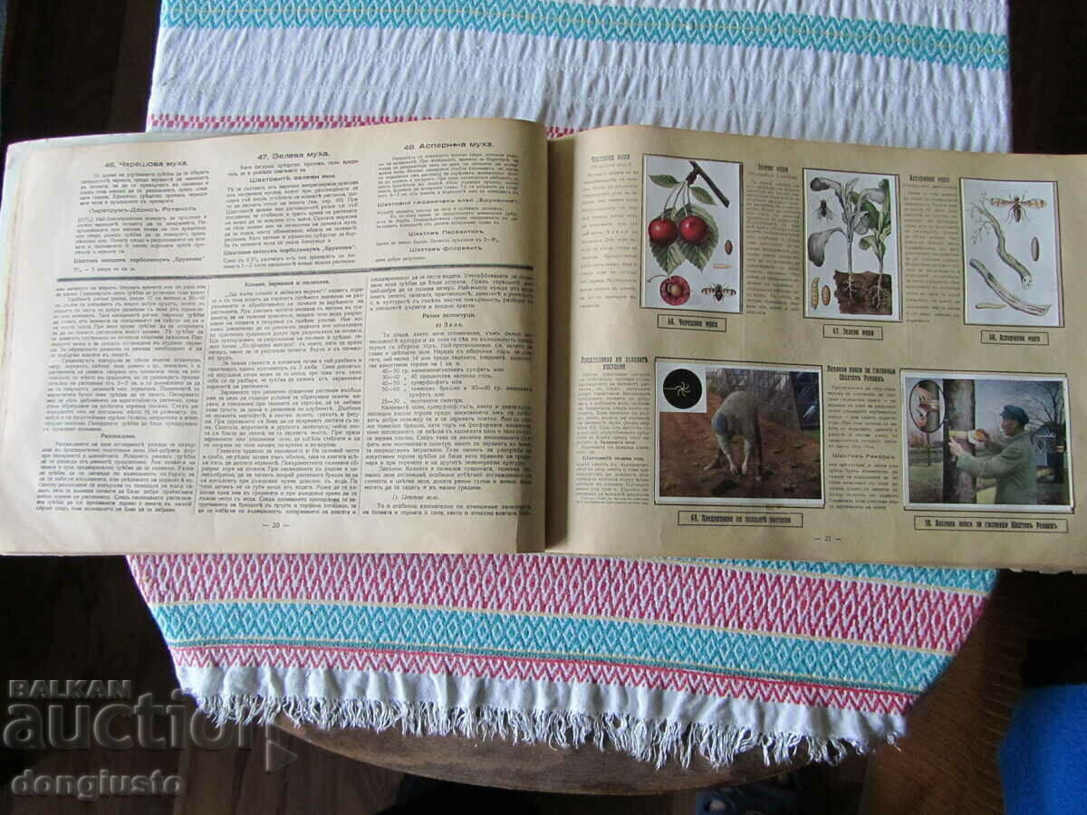 Аукцион Нашите градински вредители-албум