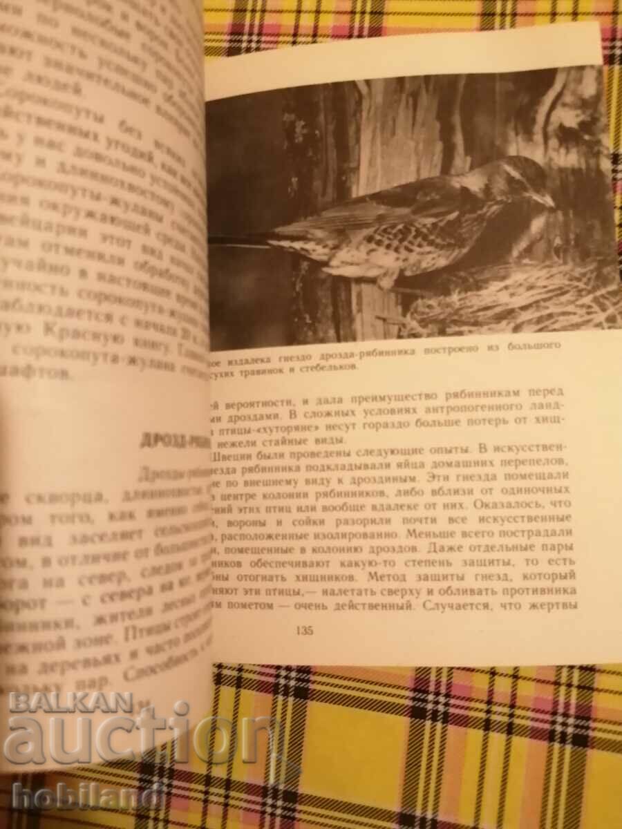 Πουλιά πάνω από το χωράφι με τιμή 3.00 BGN | € 1.53 Πουλιά πάνω από το χωράφι με τιμή 3.00 BGN | € 1.53