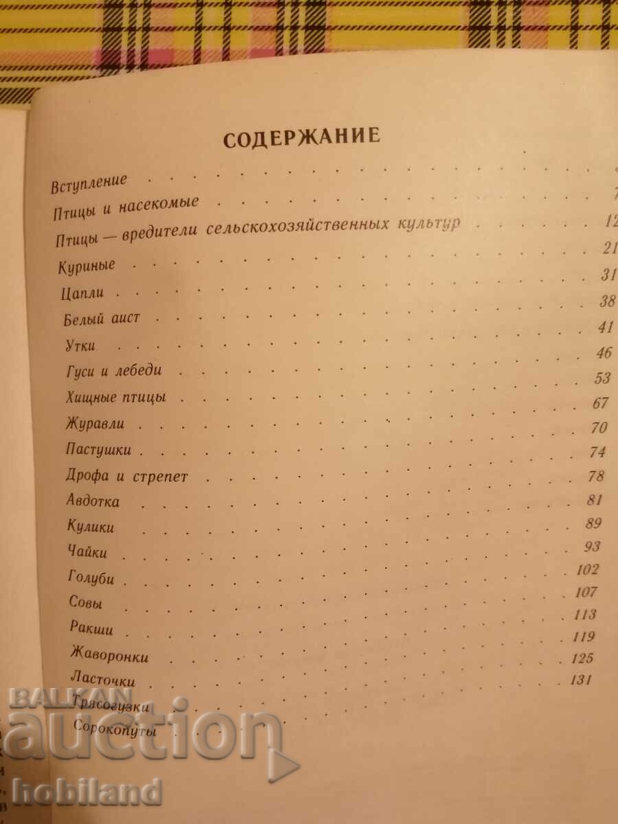Παράδοση Πουλιά πάνω από το χωράφι Παράδοση Πουλιά πάνω από το χωράφι