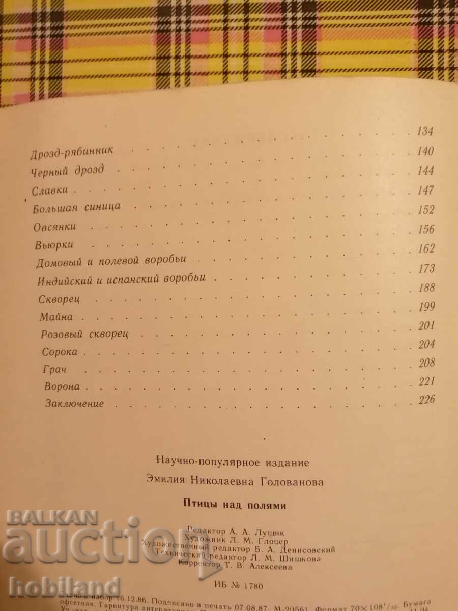 Πουλιά πάνω από το χωράφι - 5 Πουλιά πάνω από το χωράφι - 5