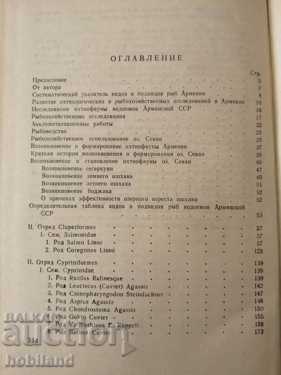 Fish in Armenia - 6 Fish in Armenia - 6