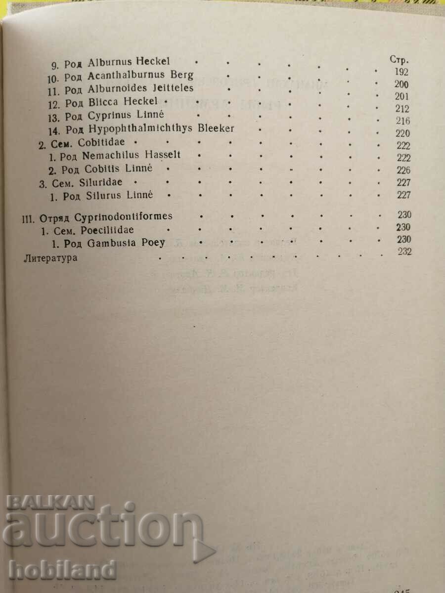 Fish in Armenia - 7 Fish in Armenia - 7