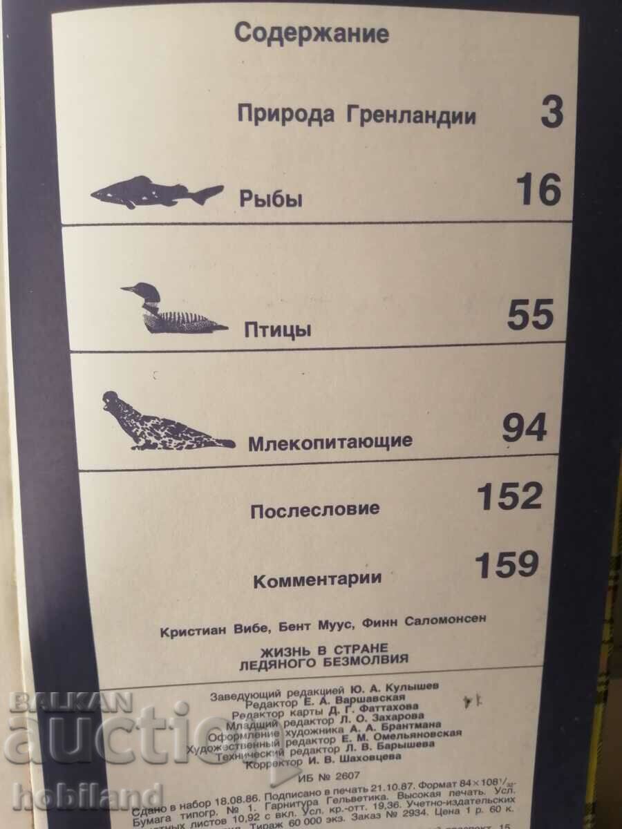 Auction Life in the land of icy silence Auction Life in the land of icy silence