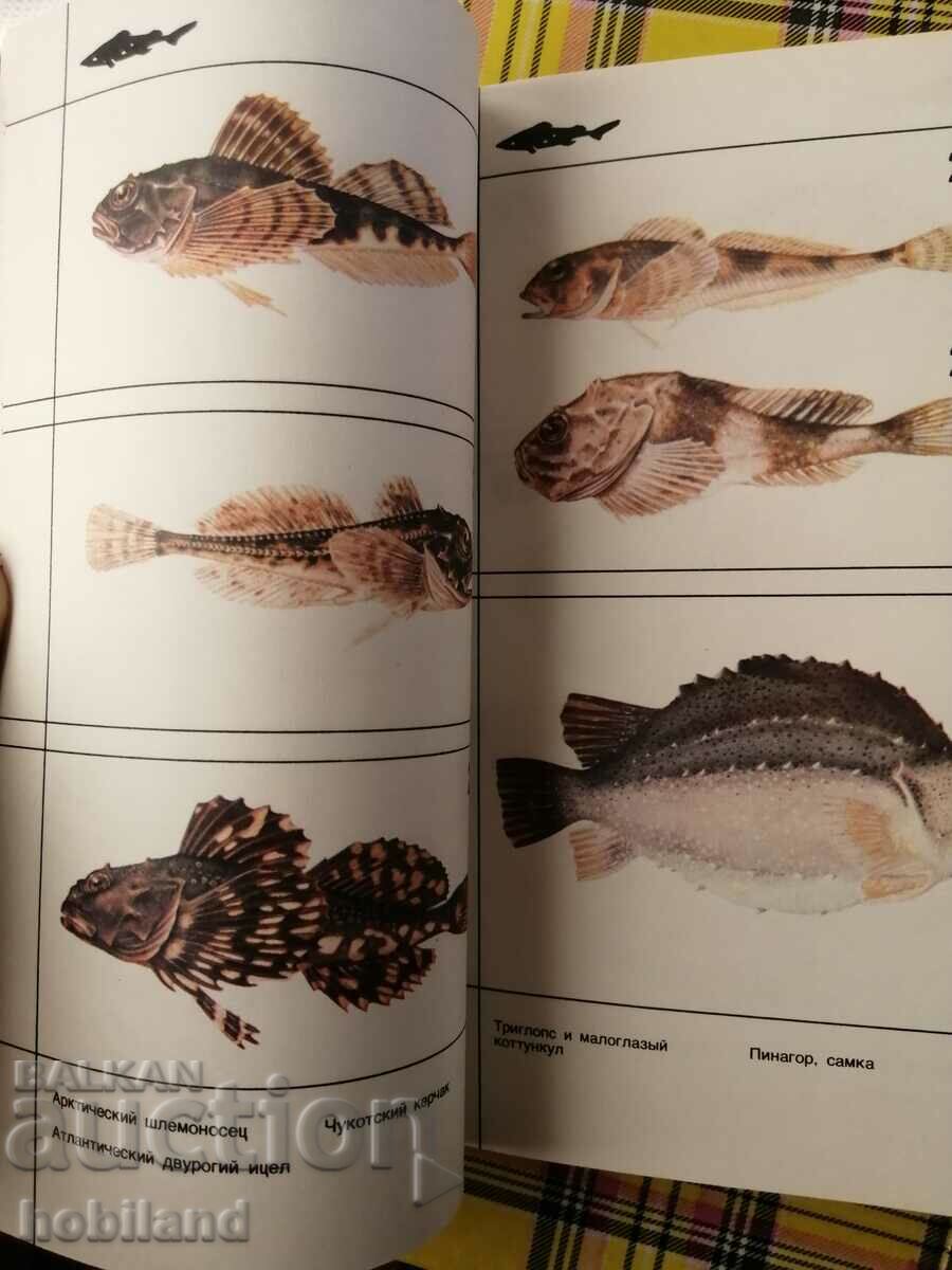 Delivery of Life in the land of icy silence Delivery of Life in the land of icy silence