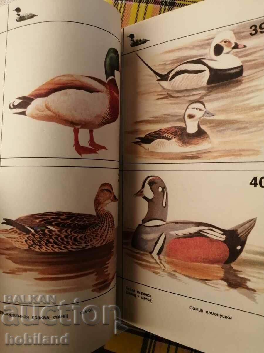 Life in the land of icy silence - 5 Life in the land of icy silence - 5