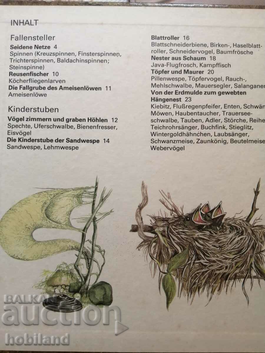 Animal structures with price 8.00 BGN | € 4.09