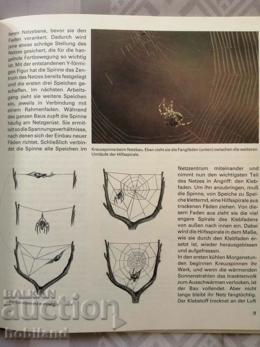 Delivery of Animal structures