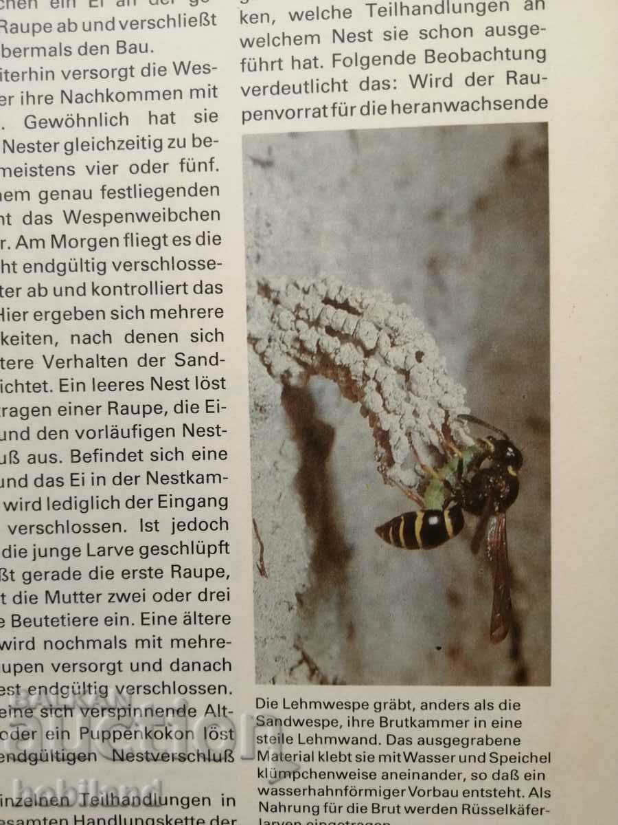 Animal structures - 5