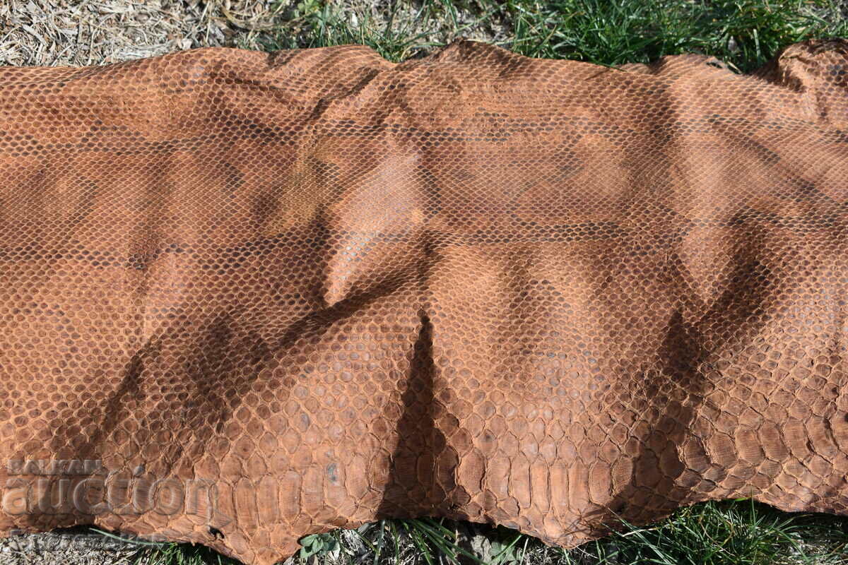 Python skin with price 180.00 BGN | € 92.03 Python skin with price 180.00 BGN | € 92.03